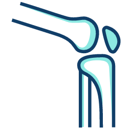 Osteoporose e Saúde Óssea